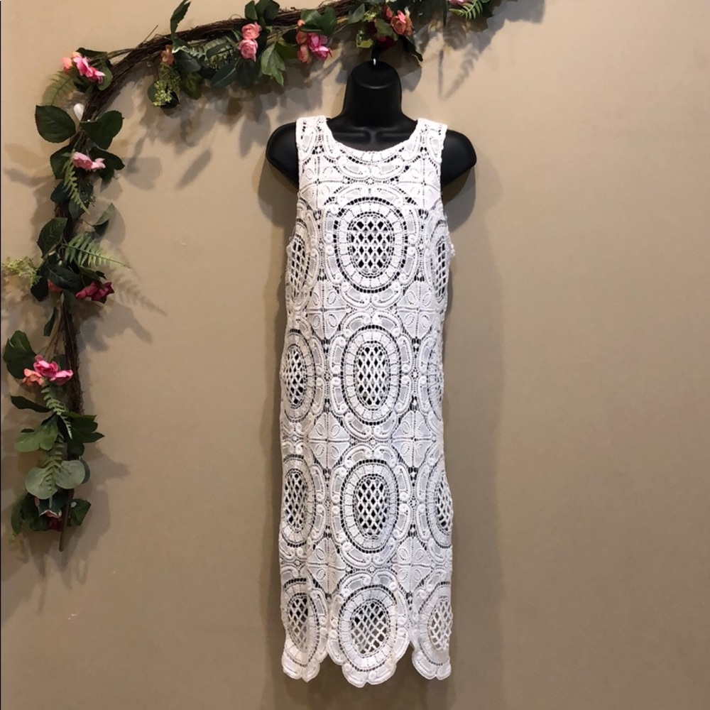 Eliza J Lace Sheath Dress